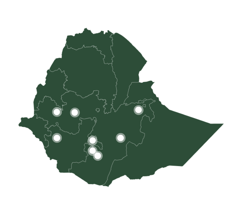 Ethiopia Coffee Regions Map